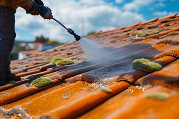 Couvreur intervenant au bord du Léman